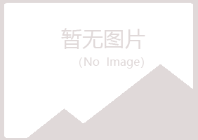 香港夏岚能源有限公司